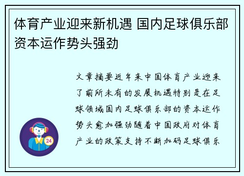 体育产业迎来新机遇 国内足球俱乐部资本运作势头强劲